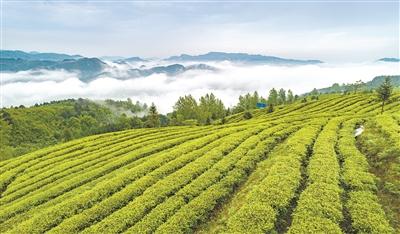 广黔携手助力文旅产业迈向高质量发展&ldquo;快车道&rdquo;