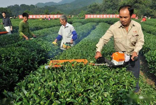 我国茶叶种植机械有哪些如何改善茶园机械化落后问题